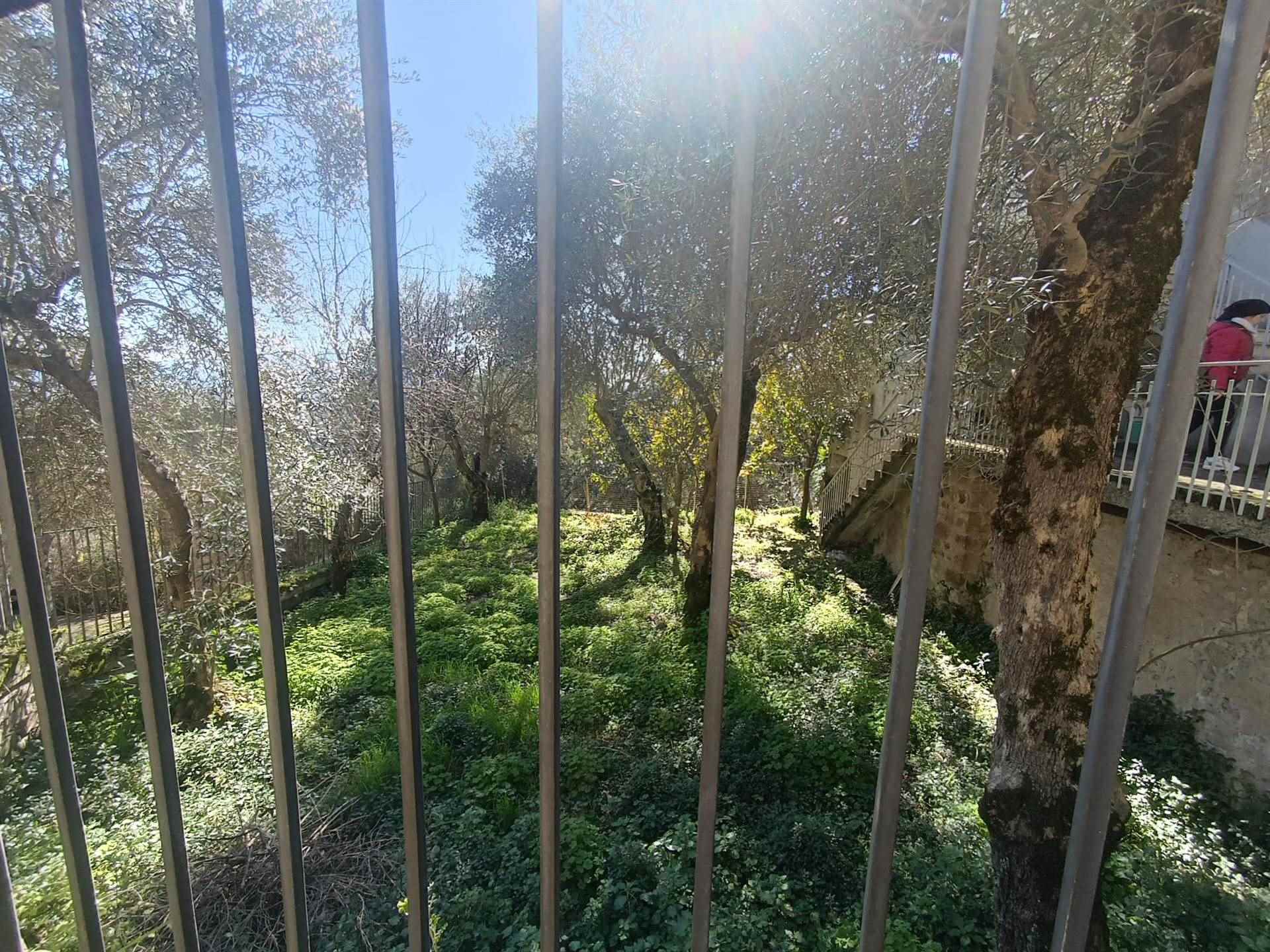 Casa semi indipendente a Marzano Appio, foto 30
