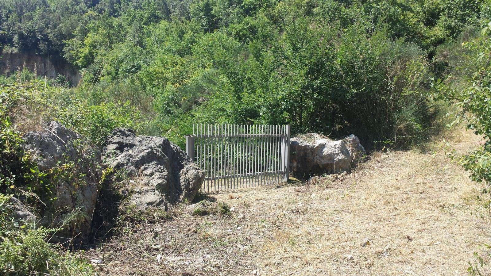 Terreno agricolo a Sparanise, foto 4