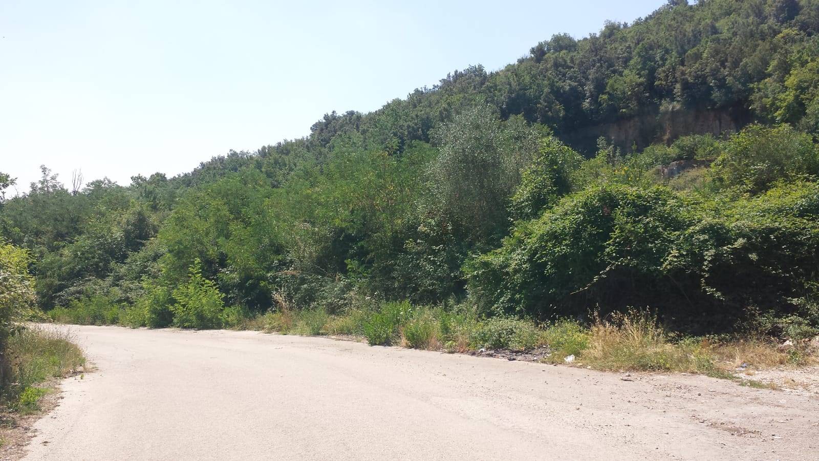 Terreno agricolo a Sparanise, foto 5