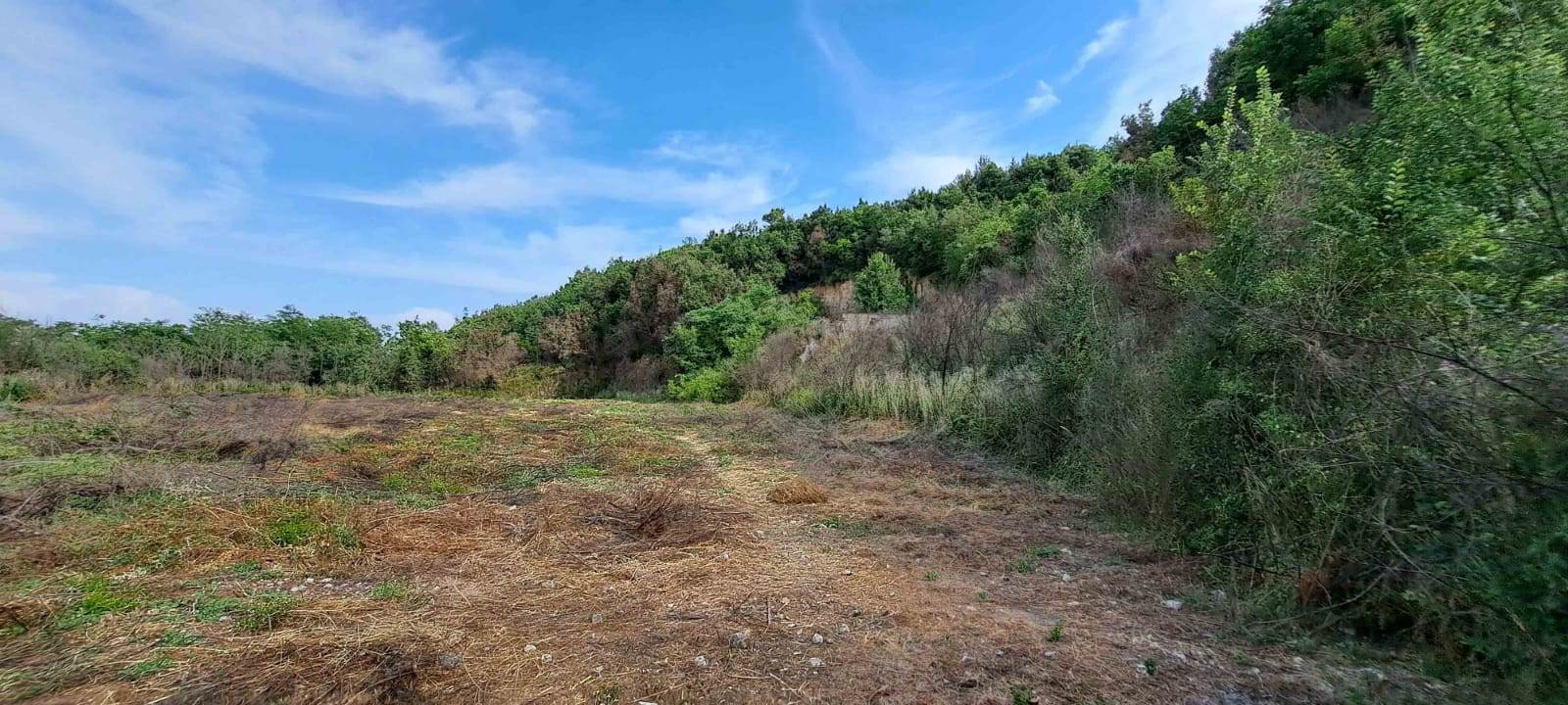 Terreno agricolo in vendita a Sparanise, Via San Vito